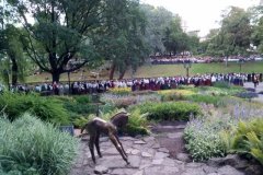 IMG_20170721_205718